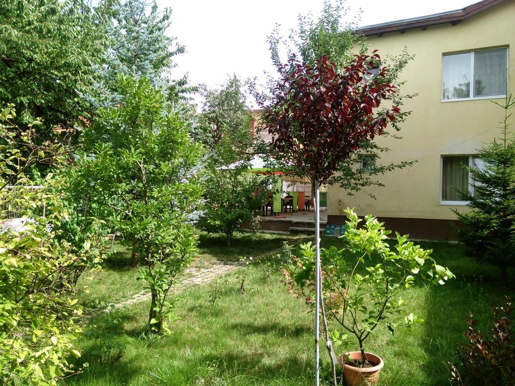 Pensiunea Paloma 3 Stele Braşov Esterno foto