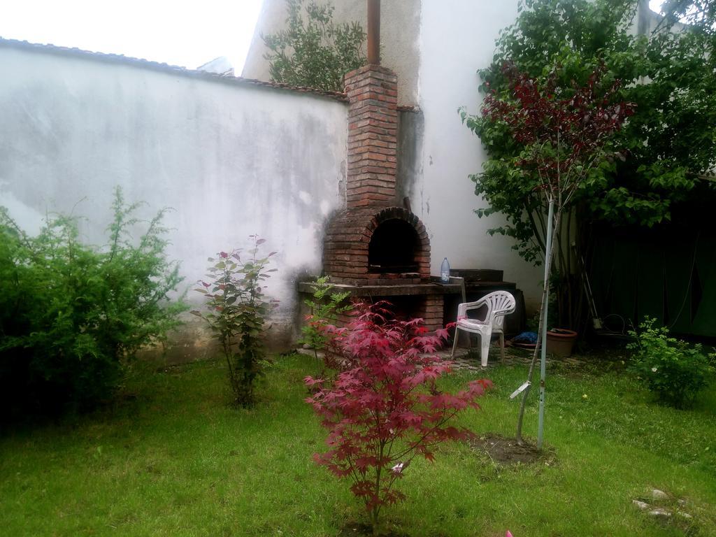 Pensiunea Paloma 3 Stele Braşov Esterno foto